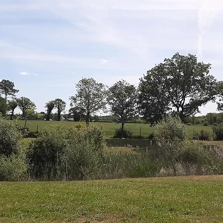 Confort 3 Chambres, Piscine Chauffee, Entre Et Nature Pres Du Golfe Du Morbihan - Fr-1-783-3